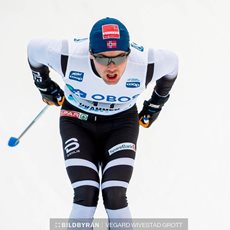 Sivert Wiig
